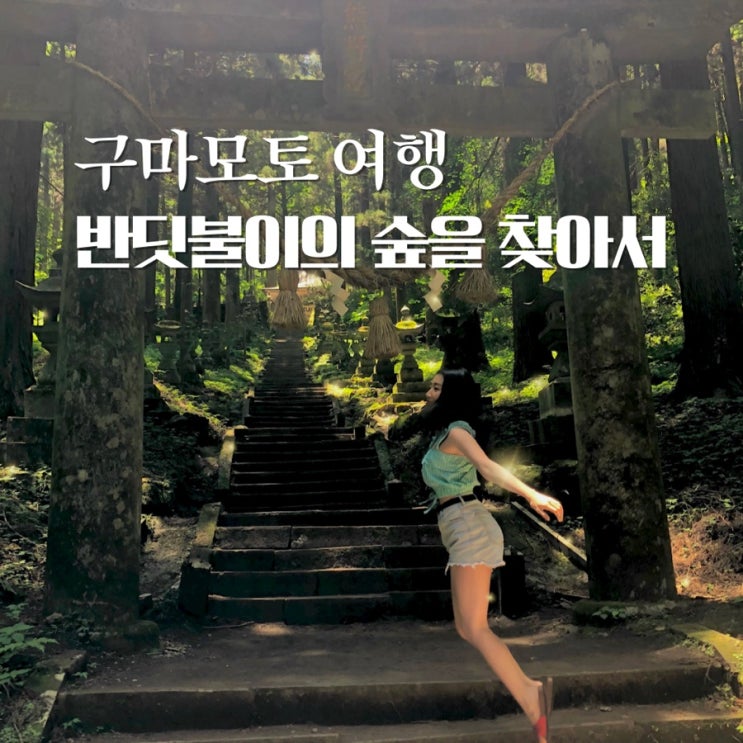  후쿠오카 근교 당일치기 여행 구마모토 볼거리 '반딧불이의 숲으로' 배경 속으로