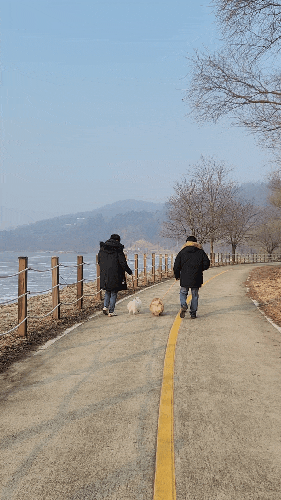  강아지 아들들과 많은 시간 보내기, 운동+먹방도 빠지지 않는 바쁜 일상