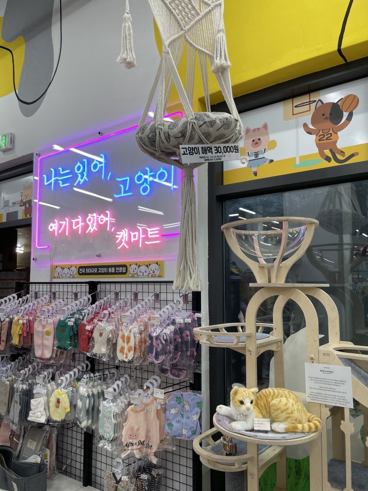  캣마트 대구점 고양이 용품 방문후기