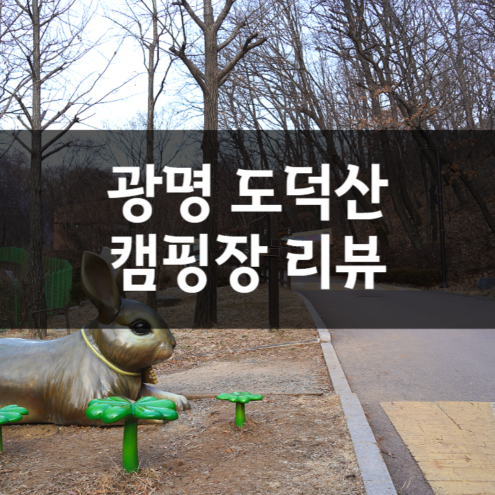  서울근교 광명 도덕산 캠핑장 예약 방법과 명당 데크 리뷰, 놀이터