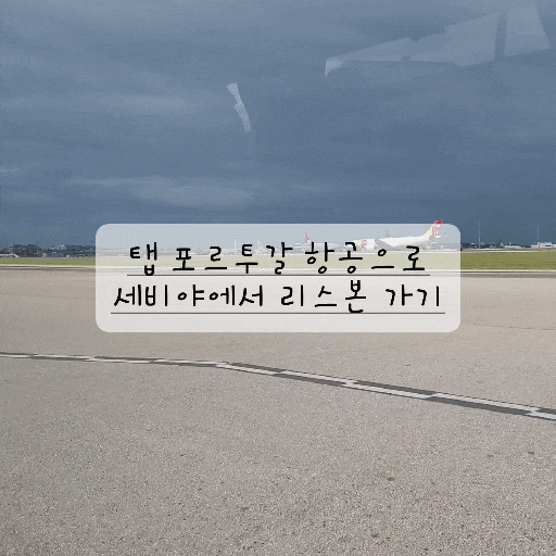  [탭 포르투갈 항공 후기] 세비야에서 리스본 가기 (기내 수하물, 위탁 수화물, 기내식, 이코노미)