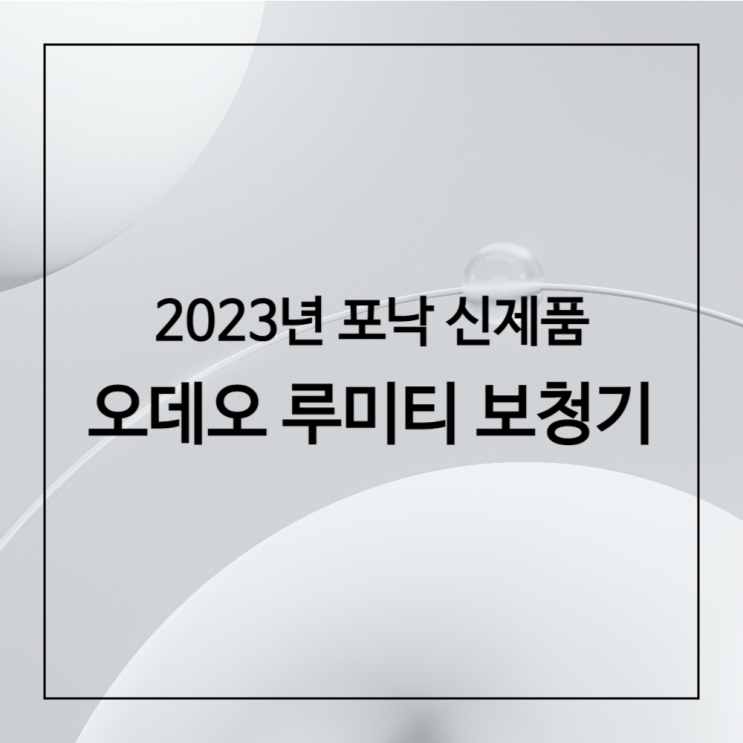  [2023년 신제품] 포낙 오데오 루미티 보청기