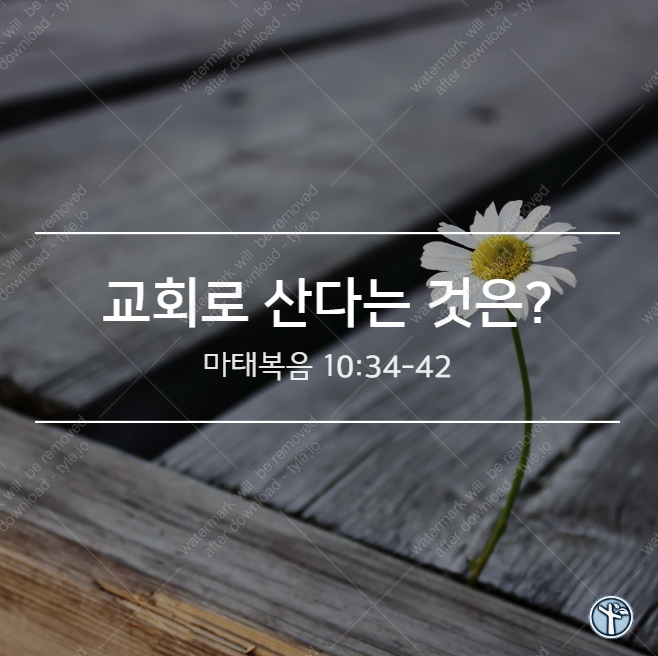  무엇을 두려워하는가? / 마 10:34-42