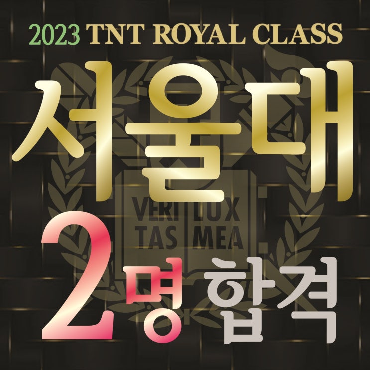 부산미술학원 2023학년도 서울대 조소과 2명 최종합격 / 2022 - 23 서울대 4명 최종합격 !! 2년연속 합격 !! TNT 미술학원 부산입시미술학원 동래미술학원 서울대 미대