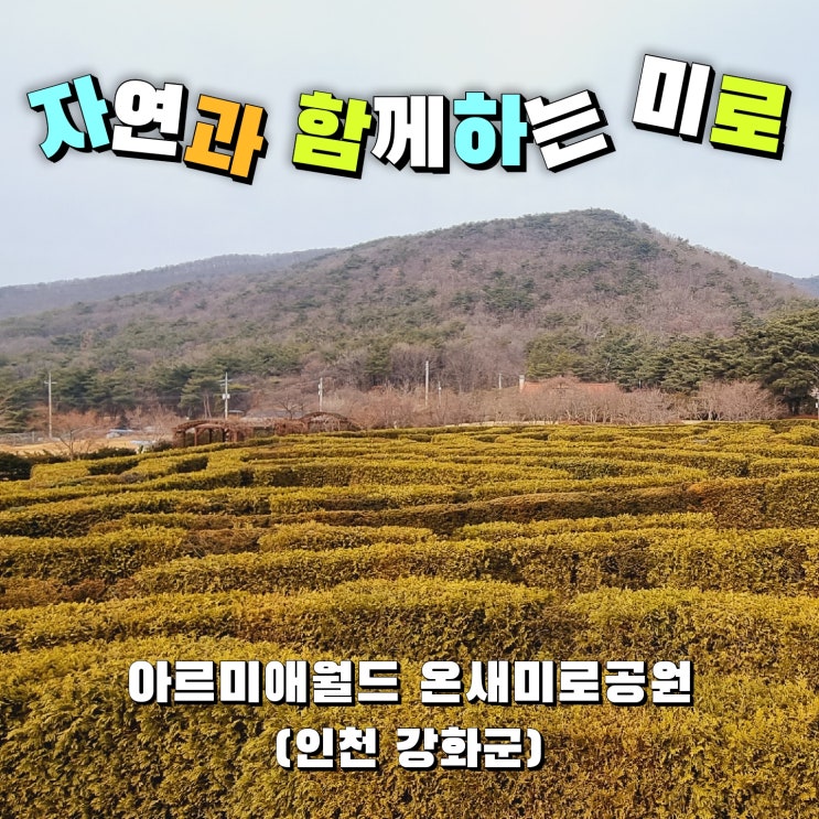  [외출기록] 강화도 아이와 갈만한 곳:) 자연과 함께하는 미로 - 아르미애월드 온새미로공원 (인천 강화군)