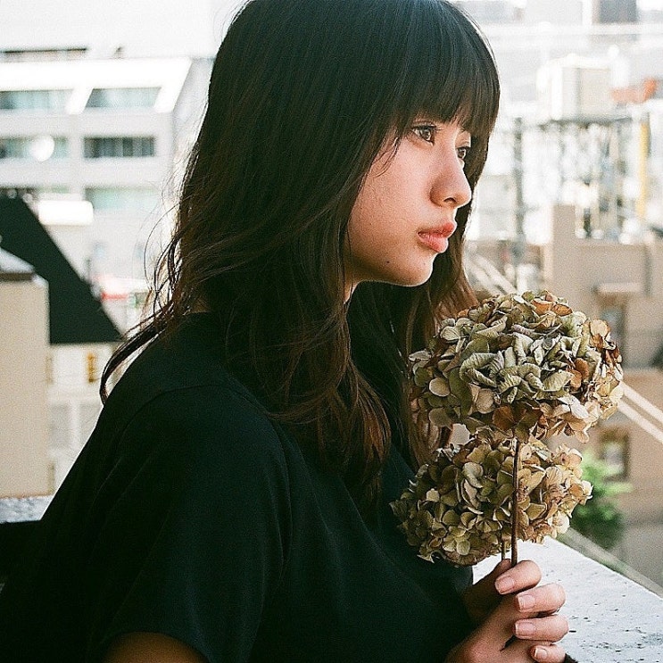  [노래로배우는일본어] ドライフラワー 優里, 드라이플라워 - 유우리 , 일본어가사 , 독음, 번역, 단어 ,독학일본어