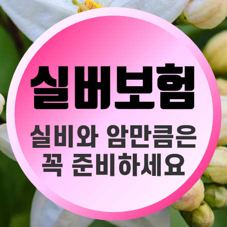  노후실손의료보험 및 부모님을 위한 시니어암보험 추천 받아보세요.