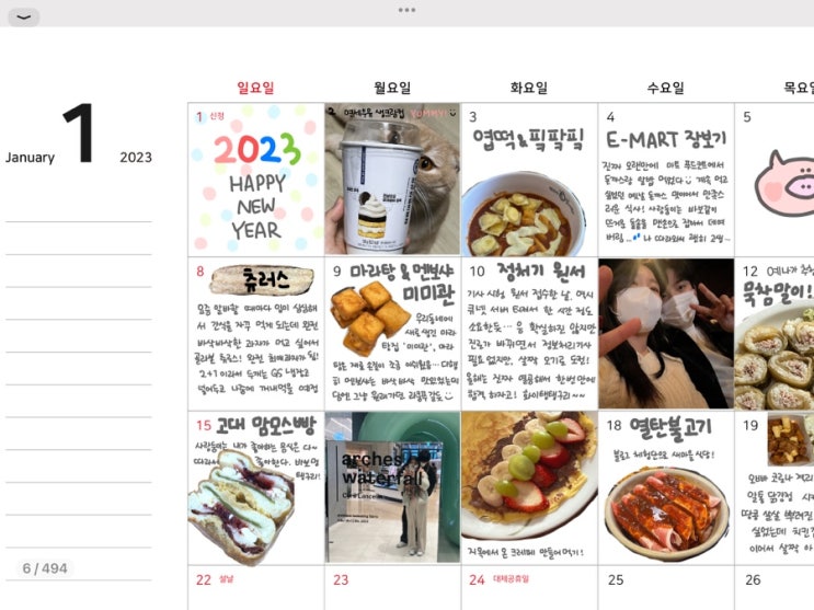  다이어리부터 일정, 습관, 운동, 금융 관리까지 한 번에 해결할 수 있는 "바닐라 굿노트 속지 아이패드 다이어리 플래너" 추천 !
