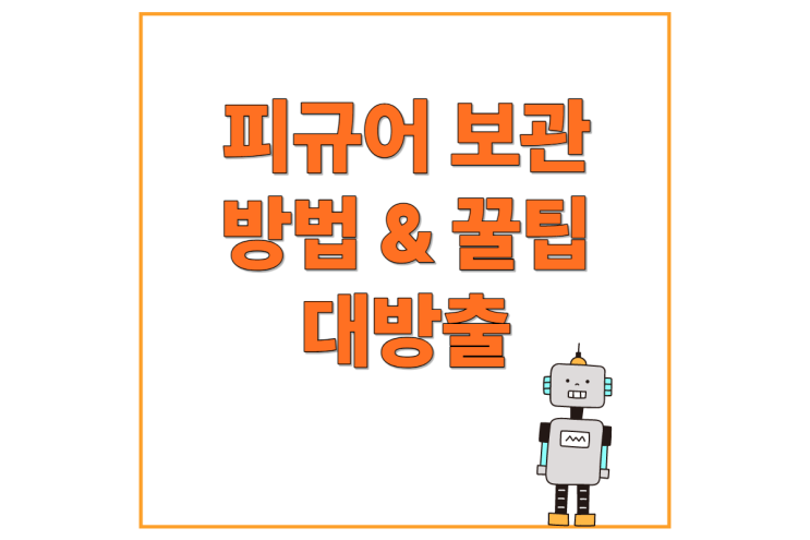  대구 피규어 보관방법 팁 대방출!