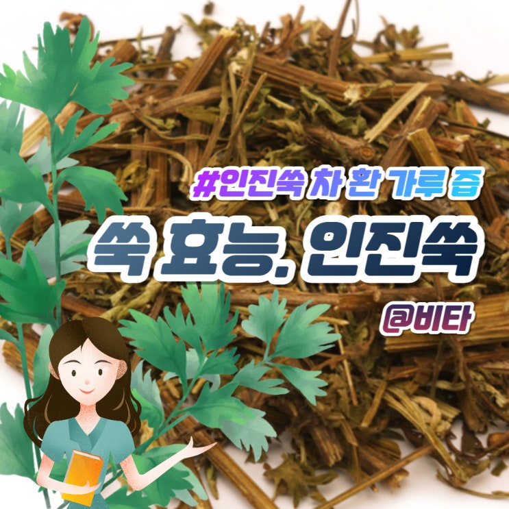  쑥 효능 인진쑥 차이 가루, 차, 즙, 환