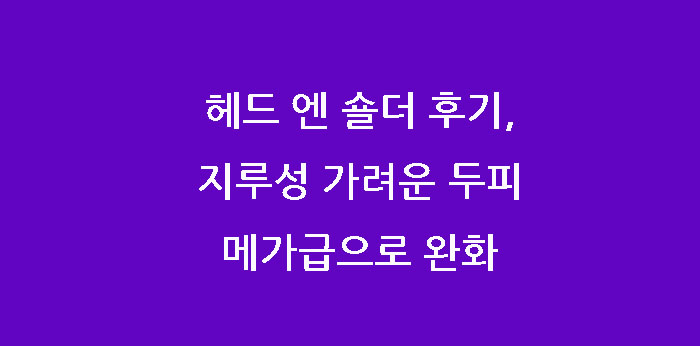  헤드 엔 숄더 후기, 지루성 가려운 두피 메가급으로 완화시키다