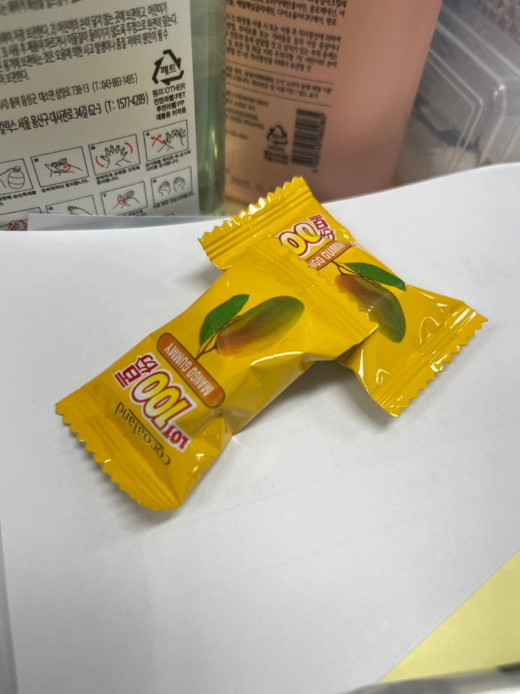  망고에 대해 알아보자