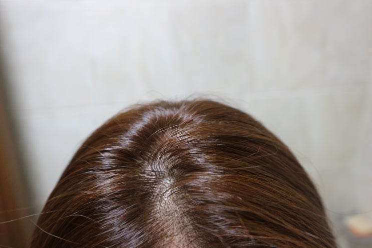  모레모 염색약 3가지 컬러 섞어보기 애쉬그레이 소프트브라운 매트브라운