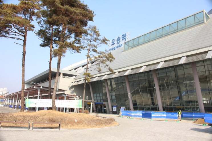  SRT타고 울산여행 통도사와 일산해수욕장을 다녀왔네요.