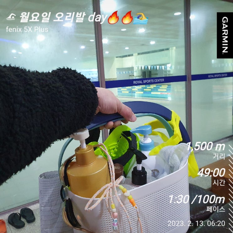  [수영일기] 2월 13일 평영 교정