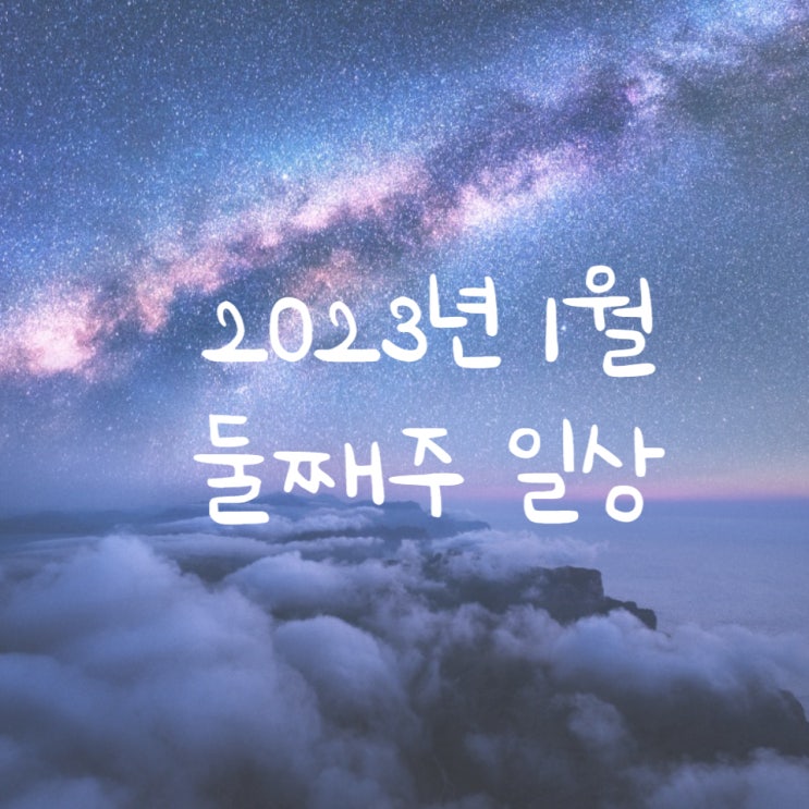  주간일상  (1/9~1/15) 1월 둘째주