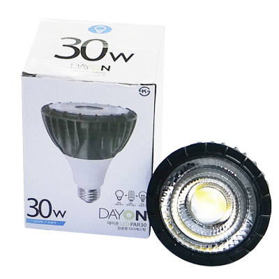 데이온 LED PAR30 30W 집중형 DAYON