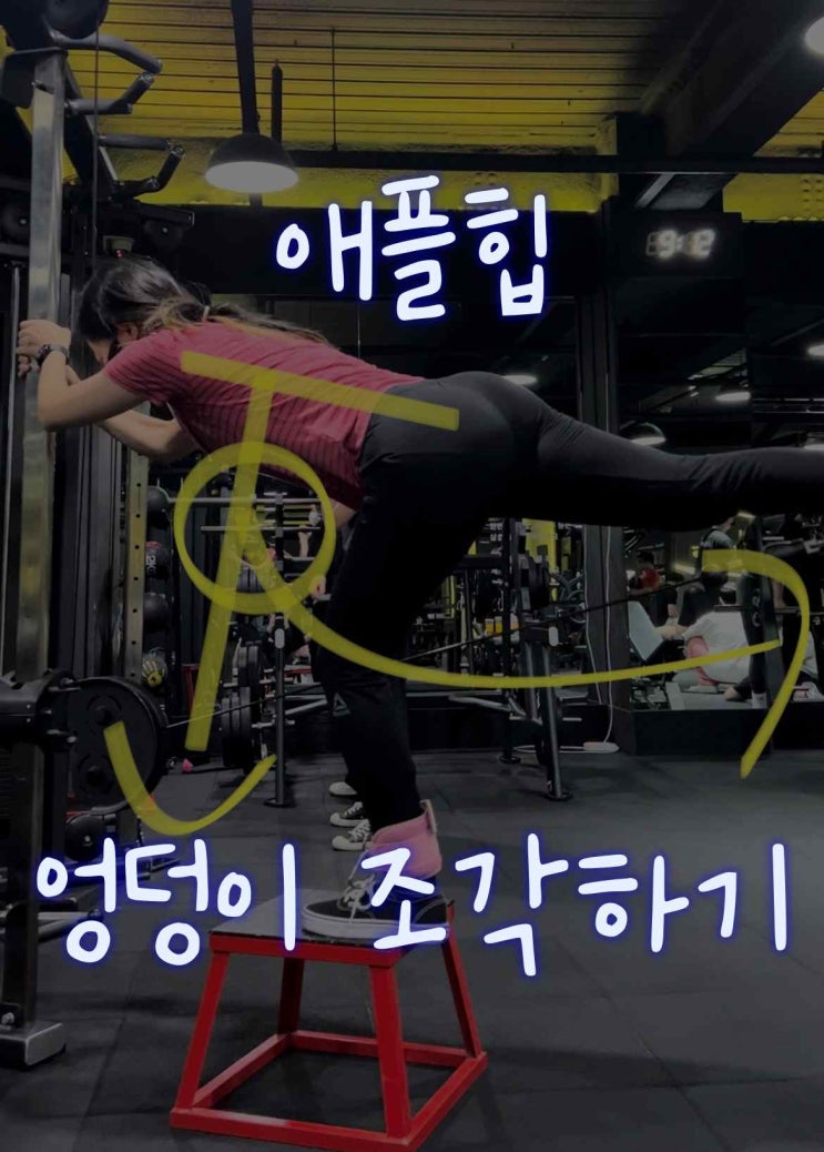  [오운완#3] PT 3회 하체_케이블 킥 백/와이드 스쿼트/벤치 킥 백