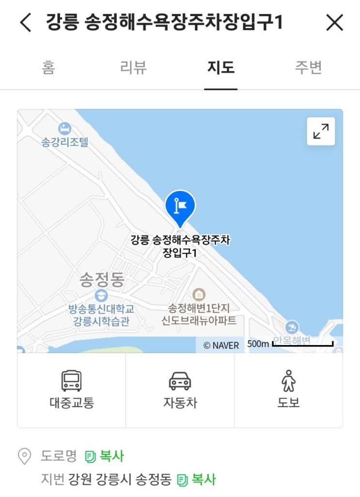  강릉송정해수욕장에서 방문 후기