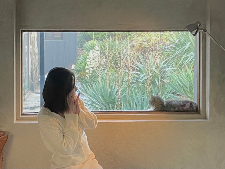  제주 구좌읍 월정리 카페 구할구 해변 근처의 돌담 감성이 좋은 곳
