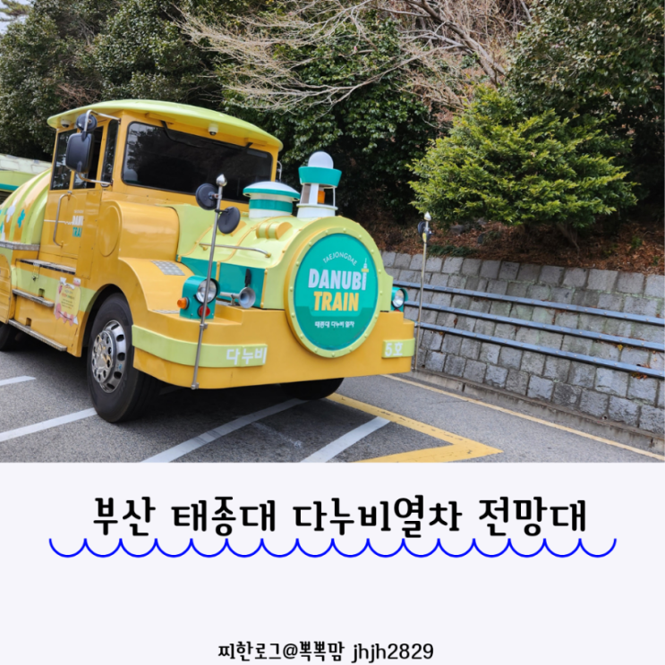  부산 태종대 다누비열차 전망대 /영도아이와가볼만한곳
