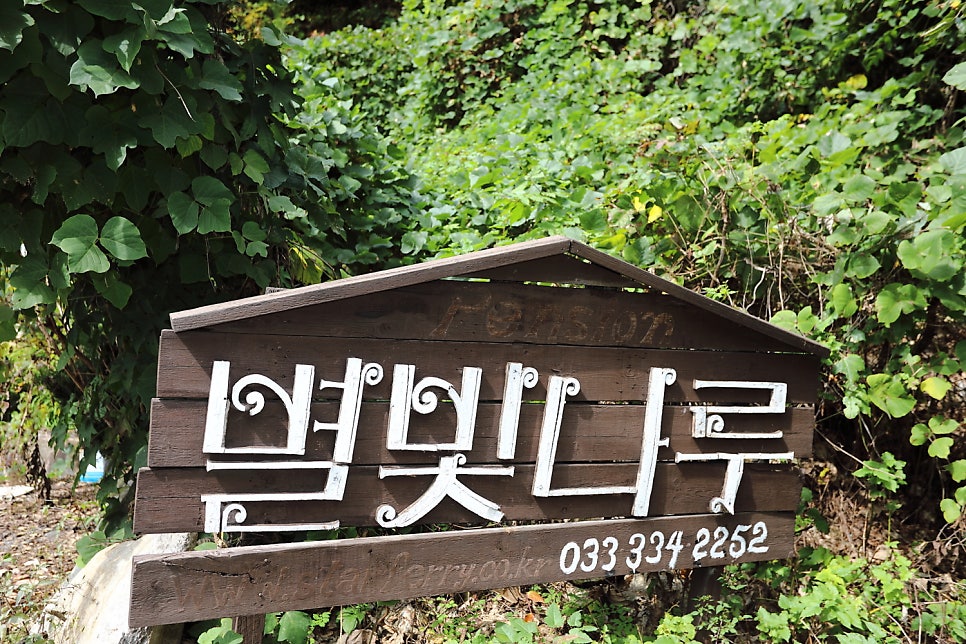 별빛나루펜션 사진 2