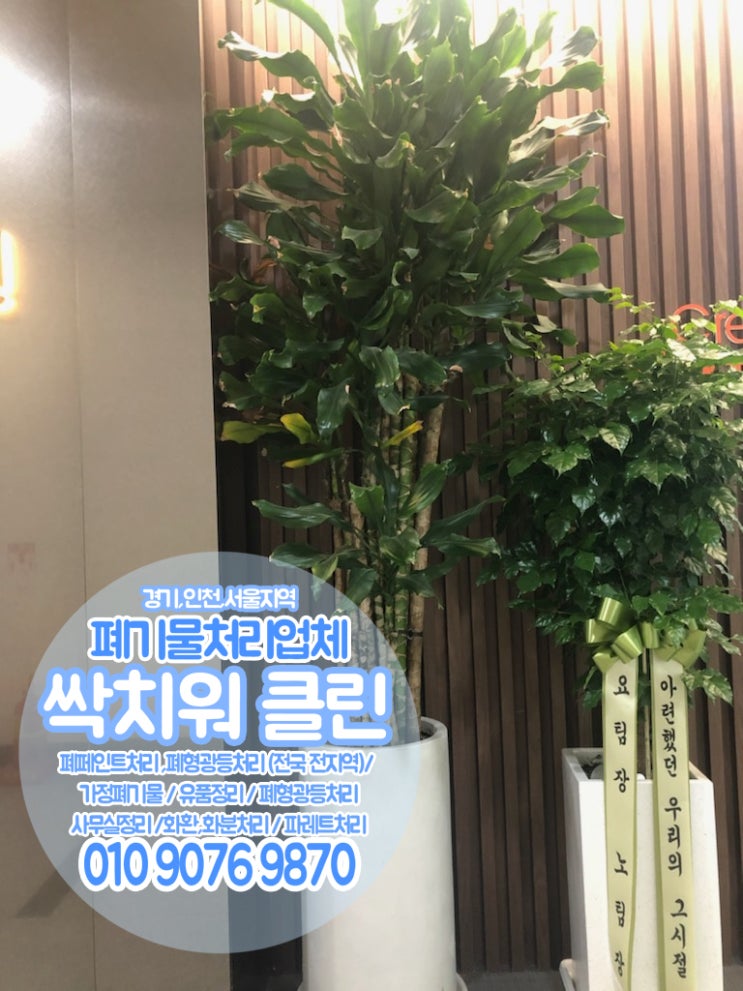  서울 안산 안양 화분처리 죽은화분버리기 화분버리는방법