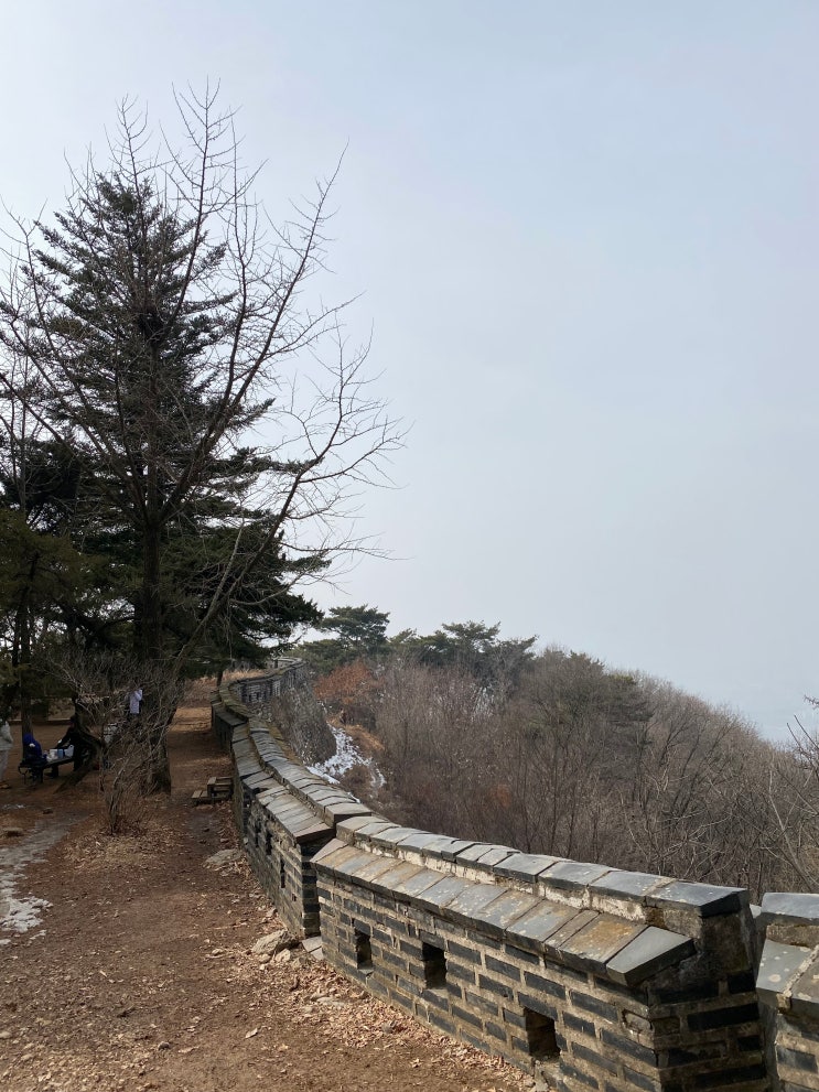  봄맞이 남한산성 둘레길 (1시간 코스 산책)