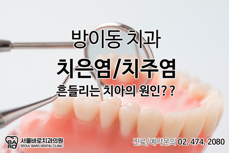  치아가 흔들리고 있다면 방이동 치과와 상의하세요.