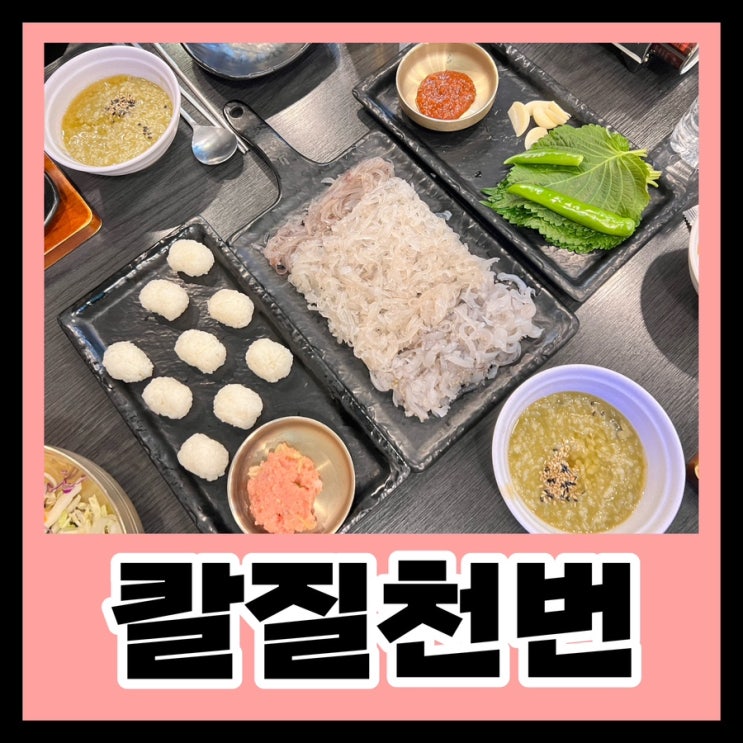  범일동 맛집 / 칼질천번 / 야들야들 오징어회