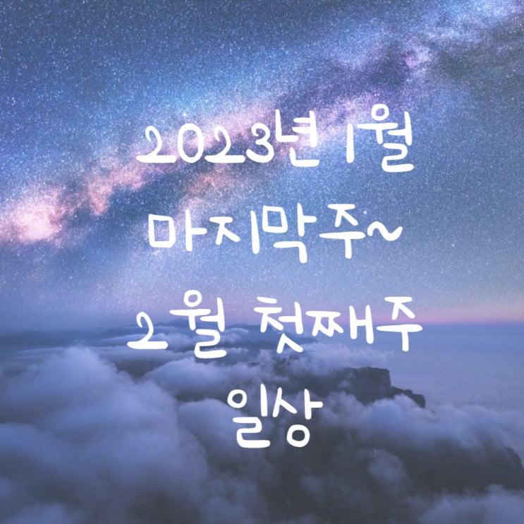  주간일상 (1/30~2/5) 누에섬물때시간표 & 꽃지해수욕장