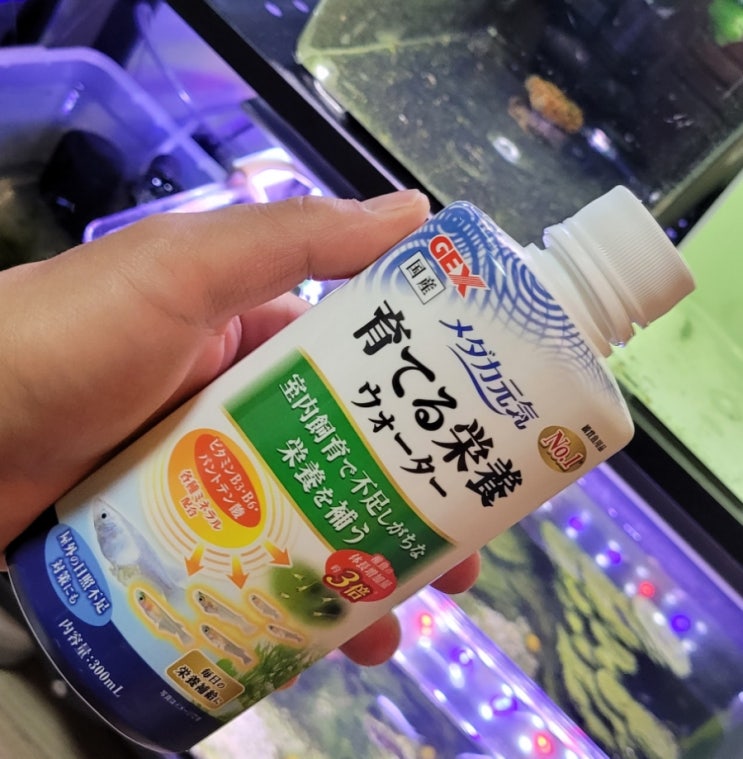  메다카 성장촉진제 구매!