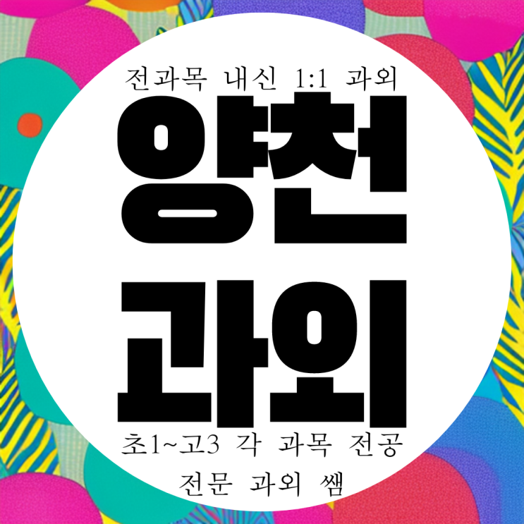  양천구 목동 전과목 방문 과외. 신정동 진명여고 내신 백암고 전문 영상고 국영수 과외.