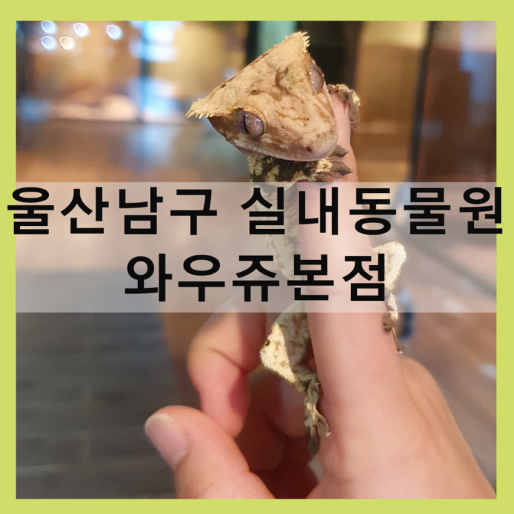  울산 와우쥬본점에서 알찬동물체험