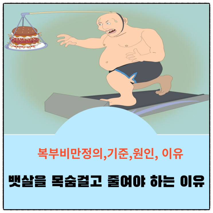  남자 여자 복부비만 정의,기준,원인,위험한 이유