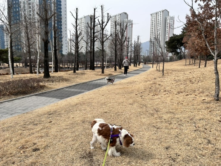 주말날씨 왜이렇게 오락가락? 꽃샘추위인가?