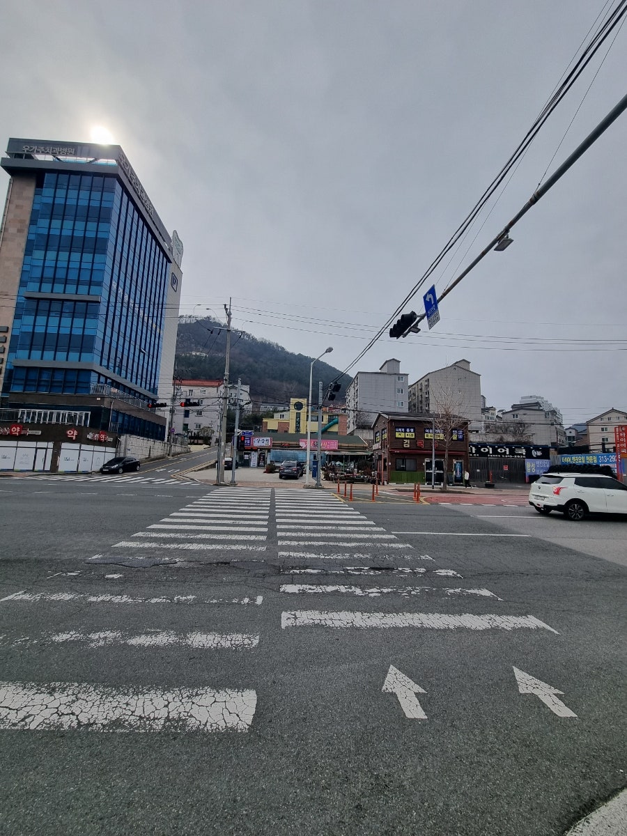 김국수 사진 2
