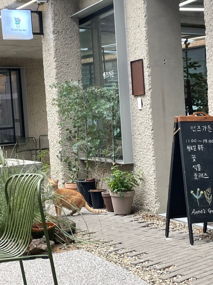  [부산 ②] 영도 재기 돼지국밥 / AREA6 / 카페 르봉비
