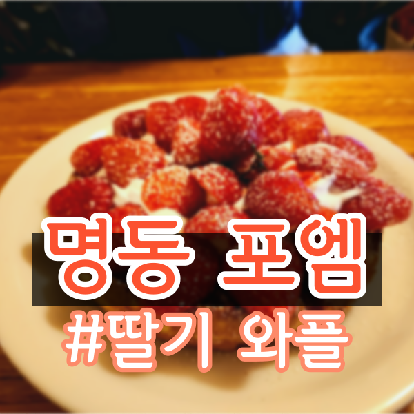 딸기 와플, 초코 프라페 맛집 <포엠> (명동 디저트 카페 추천, 내돈내먹)