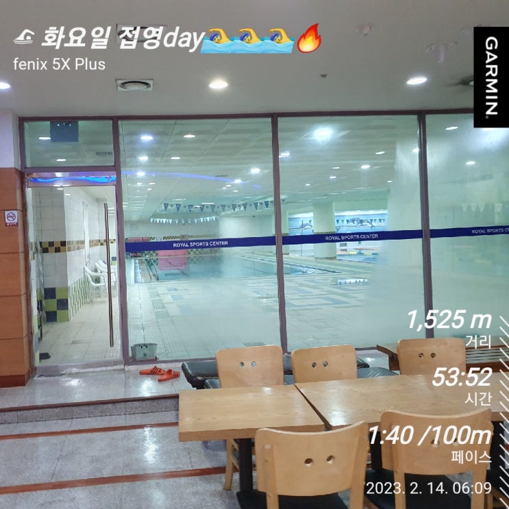  [수영일기] 2월 14일 1번은 힘들어!