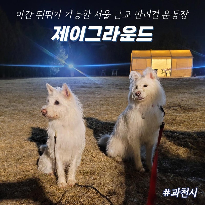 제이그라운드 과천