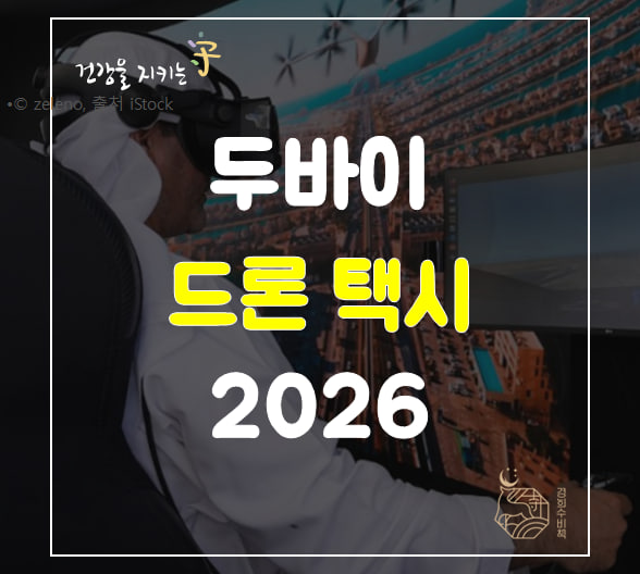  두바이 하늘을 나는 에어택시 드론택시 2026년 상용화 준비