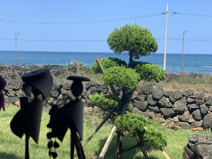  (아이폰xs) 2020-09-26 제주 월정리