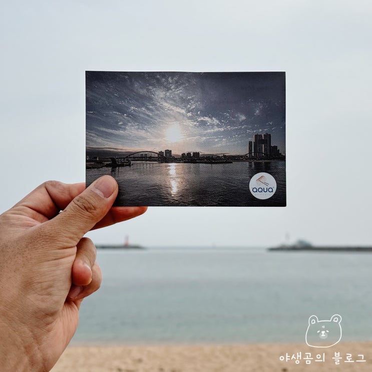  속초 아쿠아딜리버리에서 회포장 가성비 있게