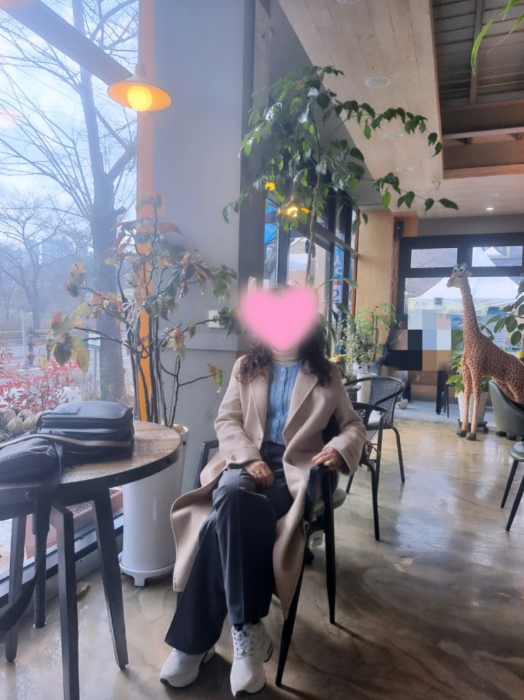  댄스댄스 45일차 운동일지