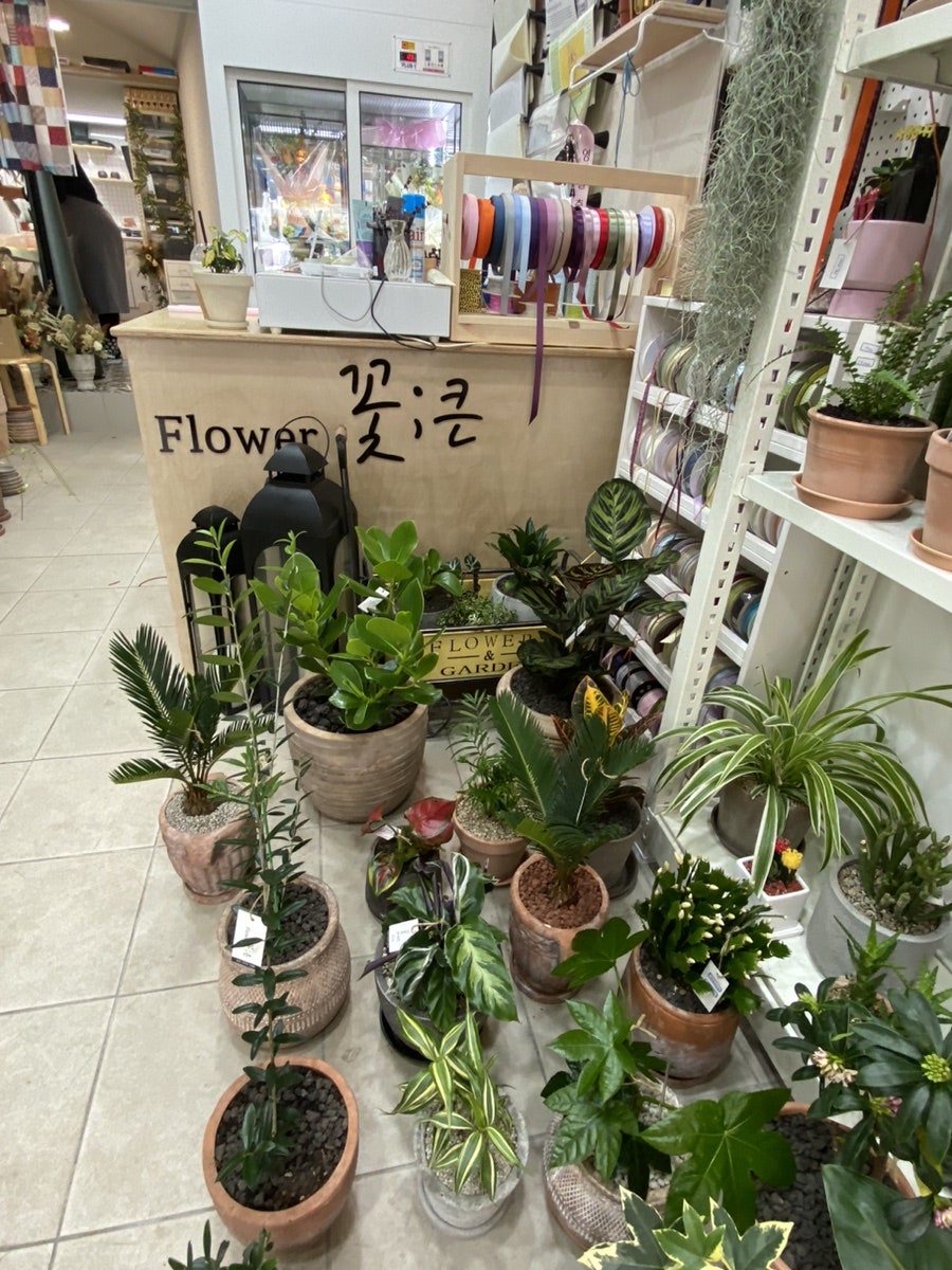 꽃큰 사진 4