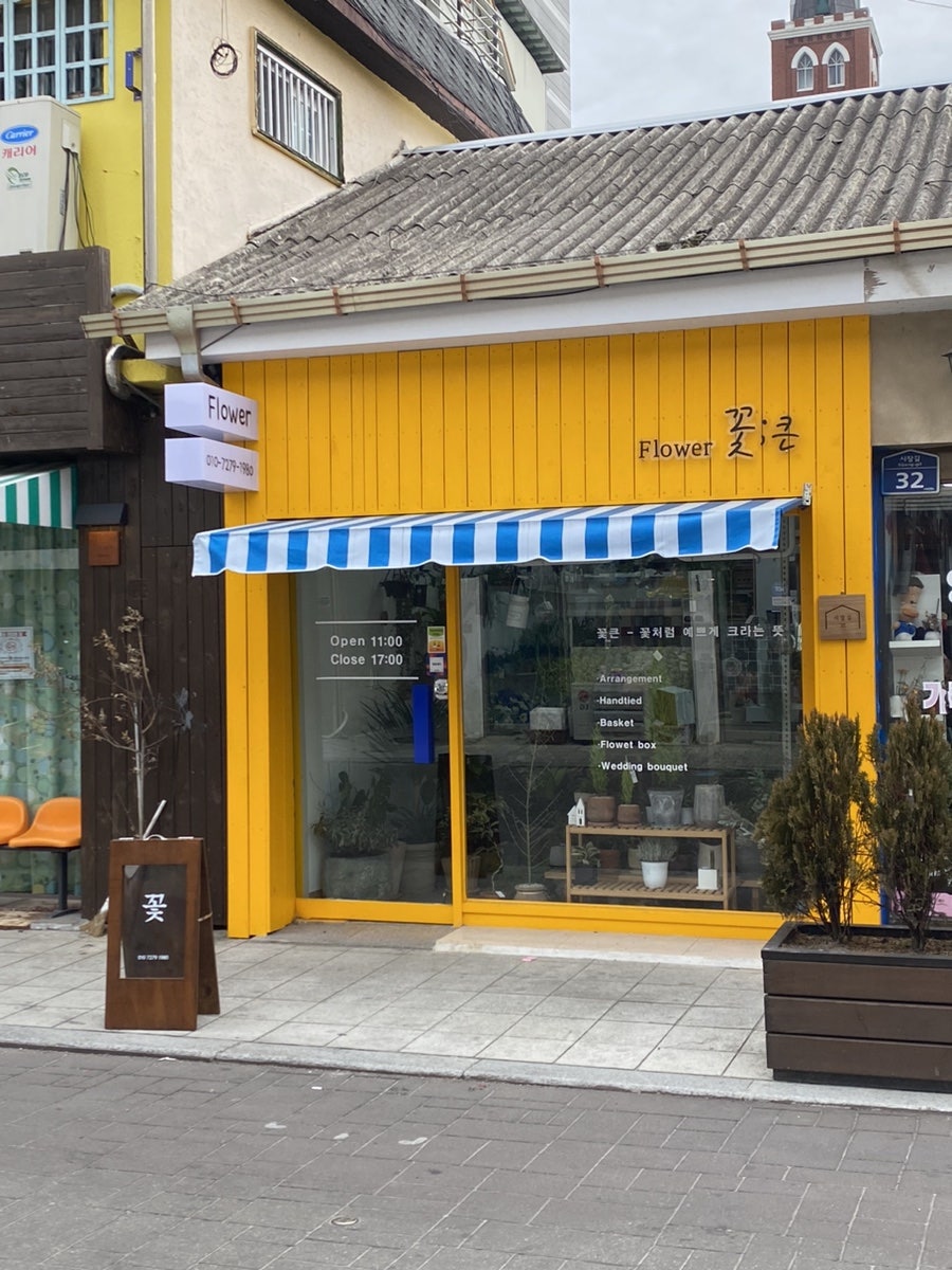 꽃큰 사진 1