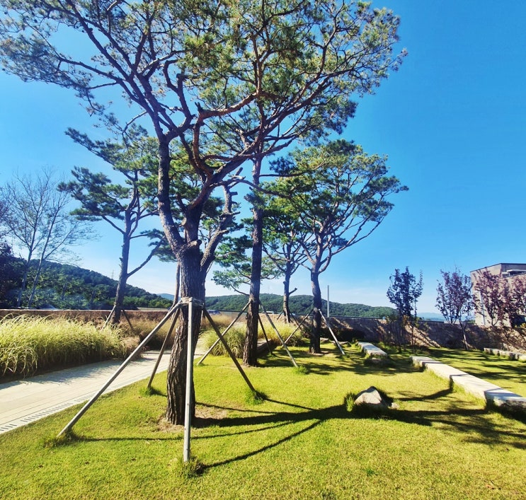 수목장이 있는 좋은 곳 용인 봅시다