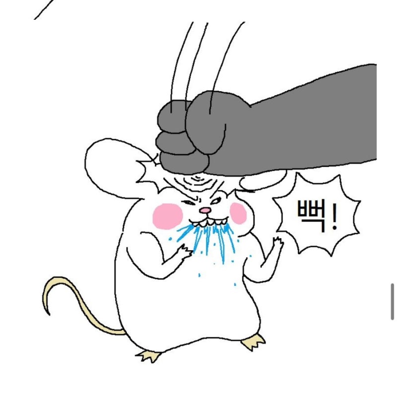 지그재그 취소 요청 거부 후기 f. 고객센터 번호