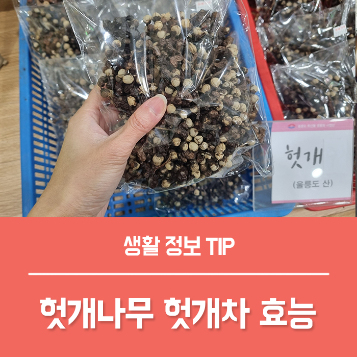 헛개차 효능 TOP 5, 헛개나무 열매 헛개나무차 부작용 총정리!